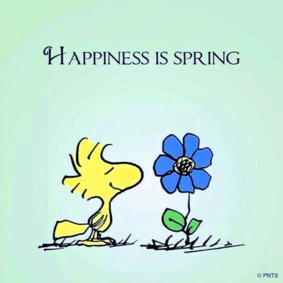 Meet your Posher, Tammy - Picture 1 of 1